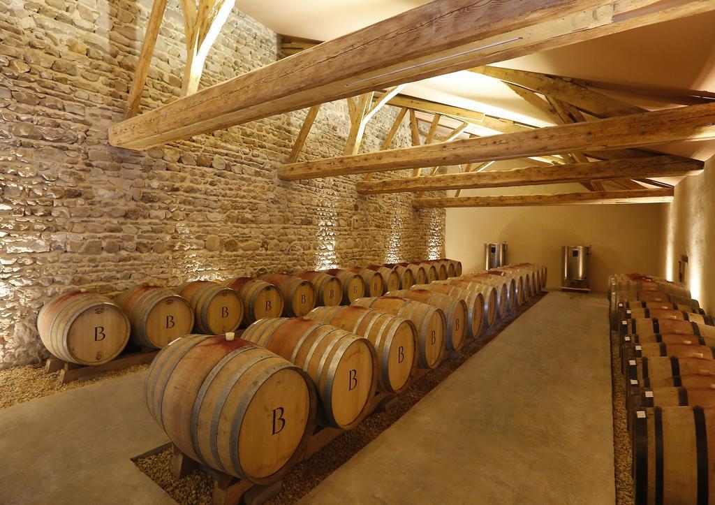 Chateau De Briante Saint-Lager Esterno foto